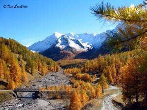 Automne en Queyras, le feu des melezes