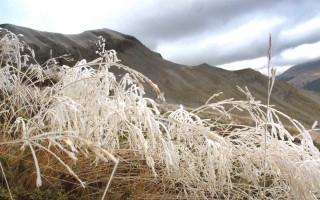 givre