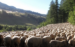 changement de montagne