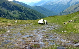 descente du col bouchet