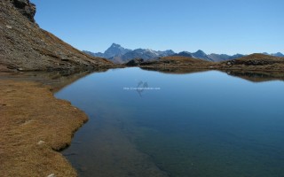 lac malriff