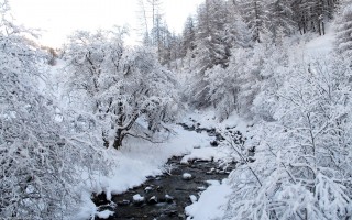 pont du moulin