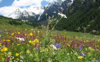 prairies saint veran