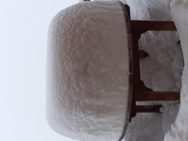chute de neige 25/01/23
