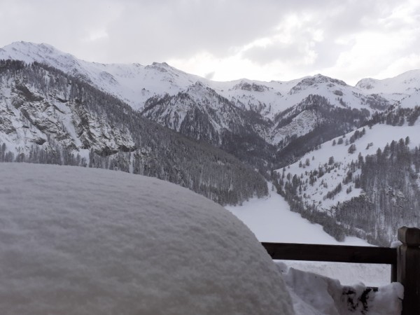 chute de neige 25/01/23