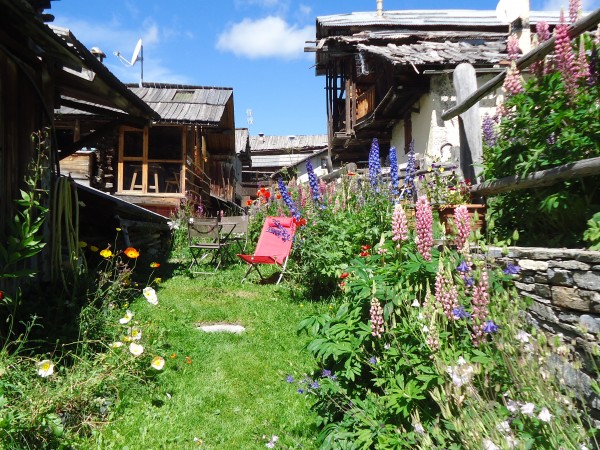 Le jardin à l'arrière du chalet