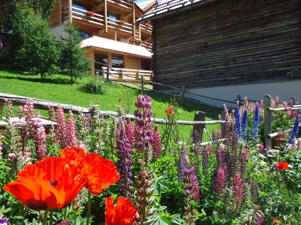 Le jardin à l'arrière du chalet