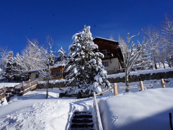 Jardin en hiver