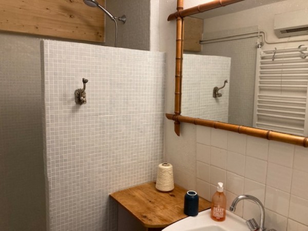 La petite salle de bain avec une grande douche