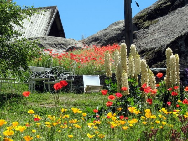 Jardin d'été