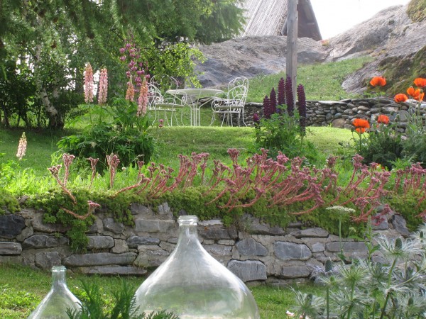 Le jardin d'été