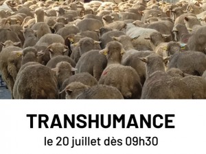 Dimanche 20 juillet : Transhumance