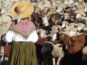 Dimanche 3 août : Fête des traditions