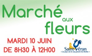 Mardi 10 juin : marche aux fleurs