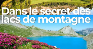 Jeudi 9 juillet et vendredi 21 août : "Dans le secret des lacs de montagne" par Claudie Verner