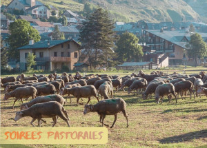 Lundi 27 juillet : soirée pastorale