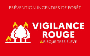 VIGILANCE ROUGE